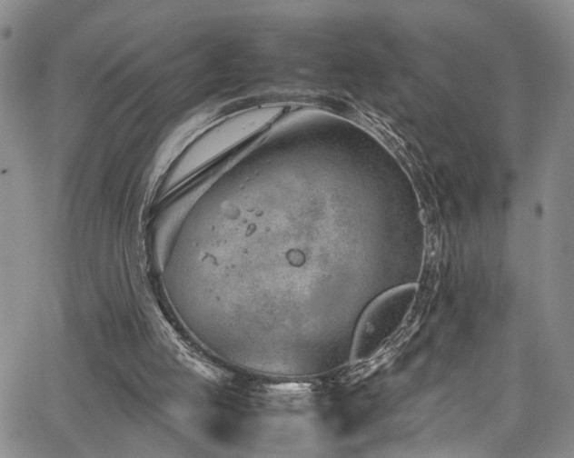 X0000064750053200602101223