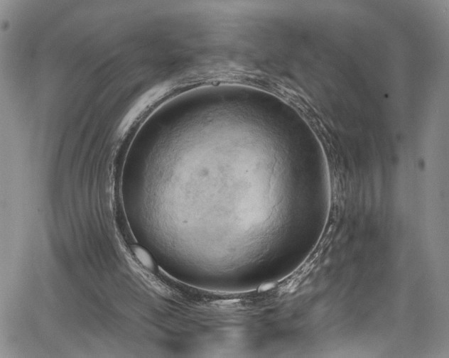 X0000064750054200602101223