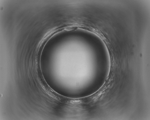 X0000064750055200602101223