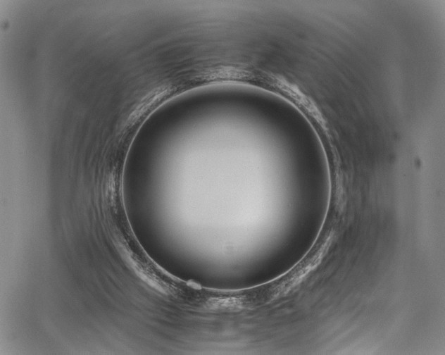 X0000064750057200602101223