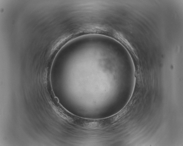 X0000064750058200602101223