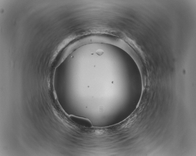 X0000064750060200602101223