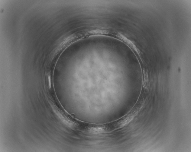 X0000064750061200602101223