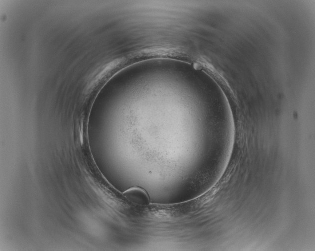 X0000064750062200602101223