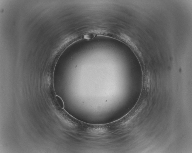 X0000064750063200602101223