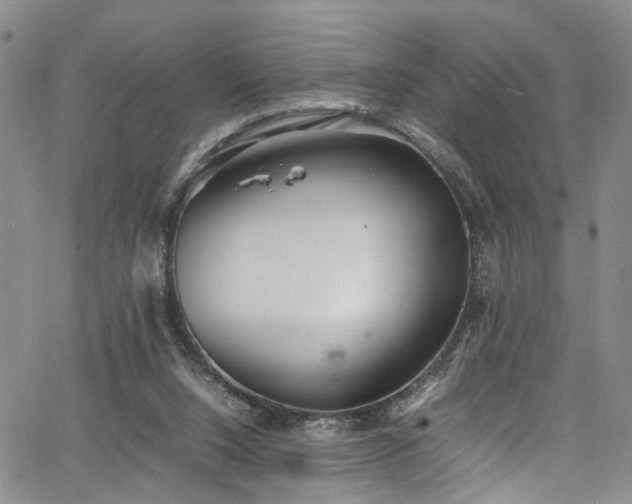 X0000064750064200602101223