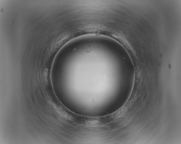 X0000064750066200602101223