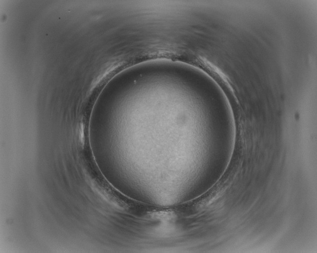 X0000064750067200602101223