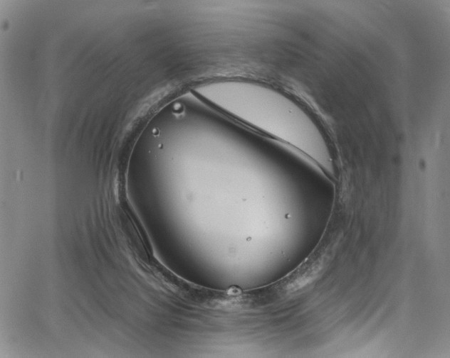 X0000064750068200602101223