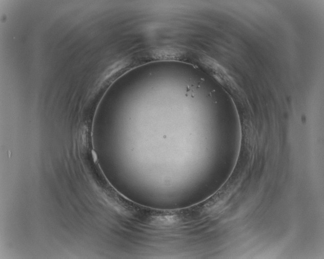 X0000064750071200602101223