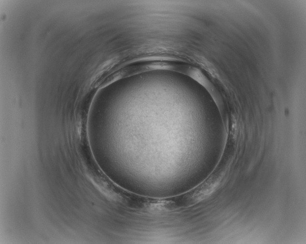 X0000064750072200602101223