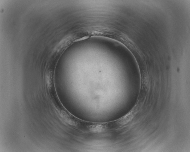 X0000064750074200602101223