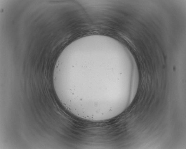 X0000064750077200602101223