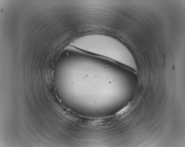 X0000064750078200602101223