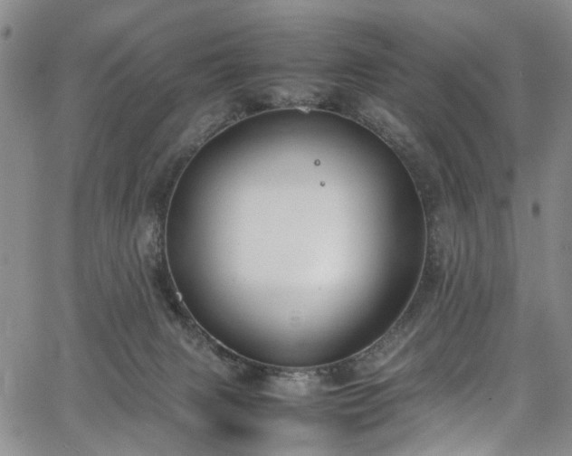 X0000064750079200602101223