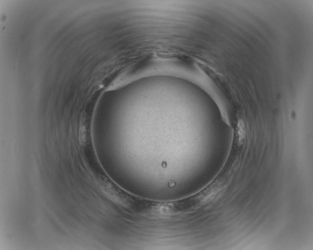 X0000064750080200602101223