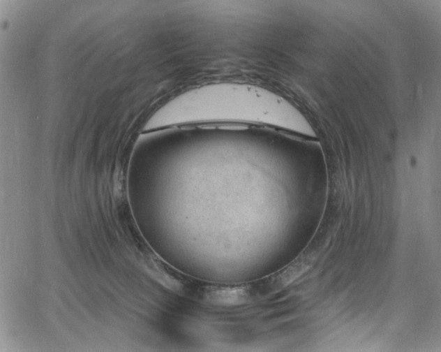 X0000064750081200602101223