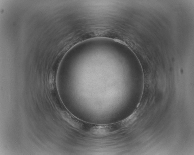 X0000064750082200602101223