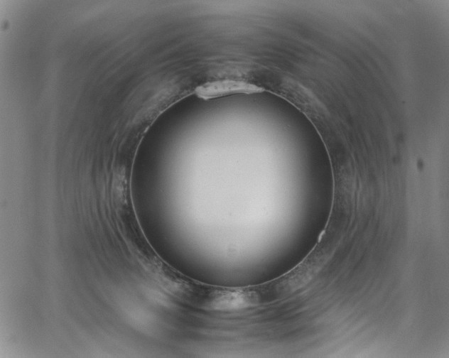 X0000064750083200602101223