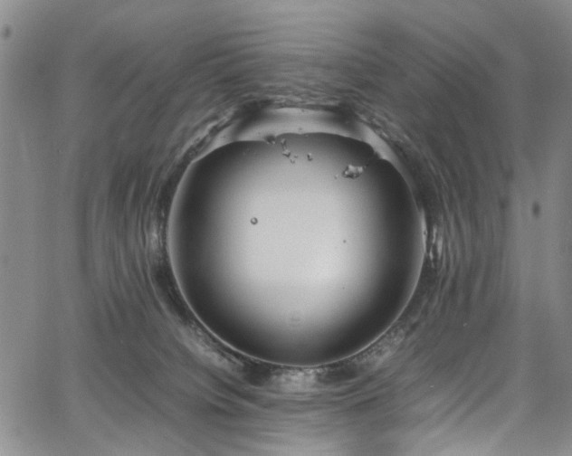 X0000064750084200602101223