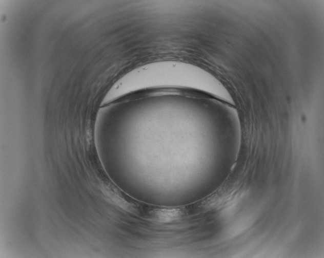 X0000064750085200602101223