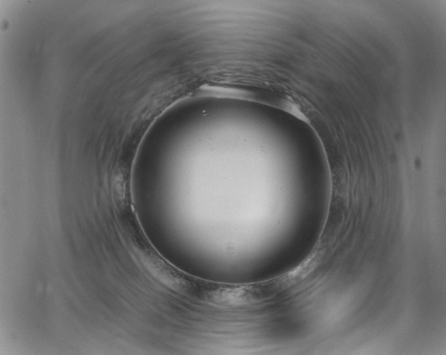 X0000064750086200602101223