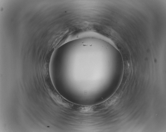 X0000064750088200602101223