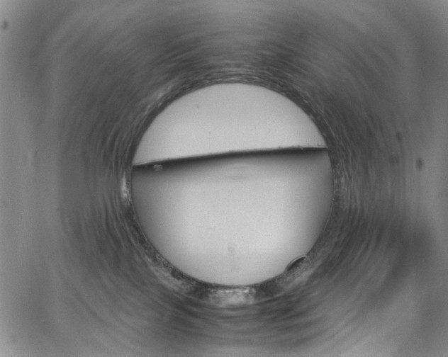 X0000064750089200602101223