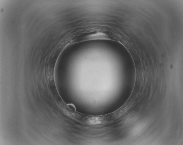 X0000064750091200602101224