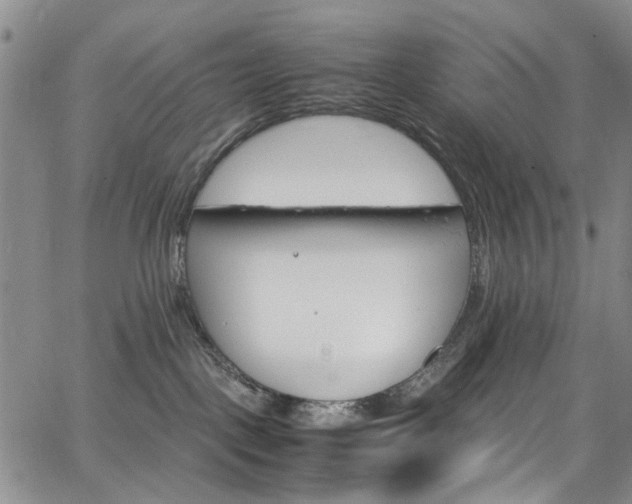 X0000064750093200602101224