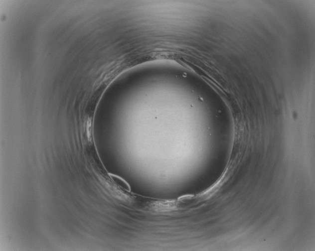 X0000064750094200602101224