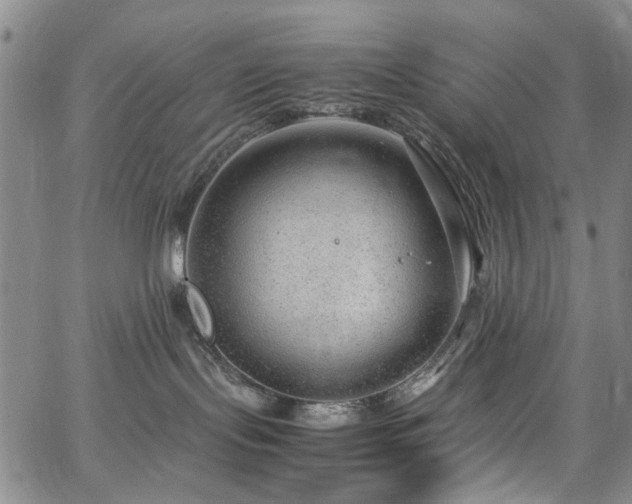 X0000064750095200602101224