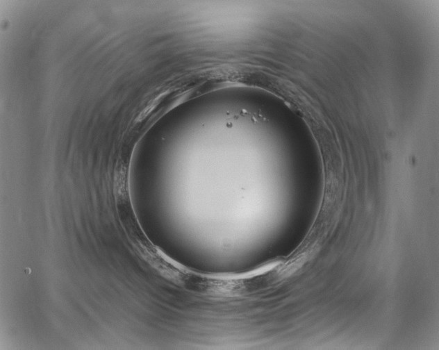 X0000064750096200602101224