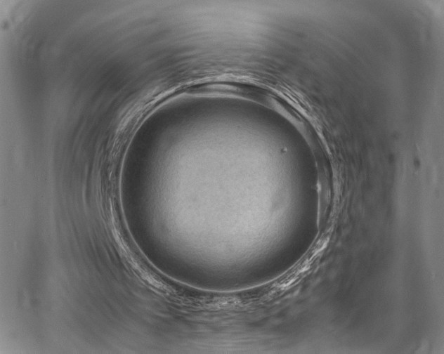 X0000064750097200602101223