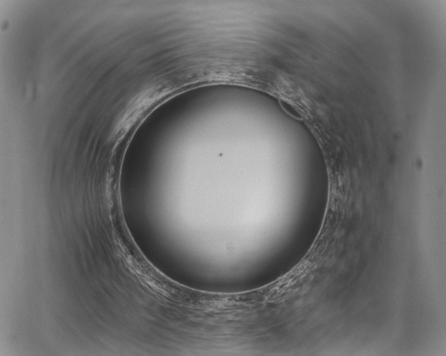 X0000064750098200602101223