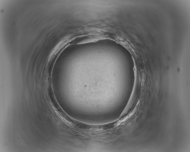 X0000064750101200602101223