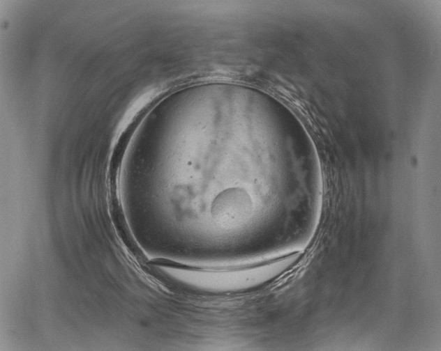 X0000064750102200602101223