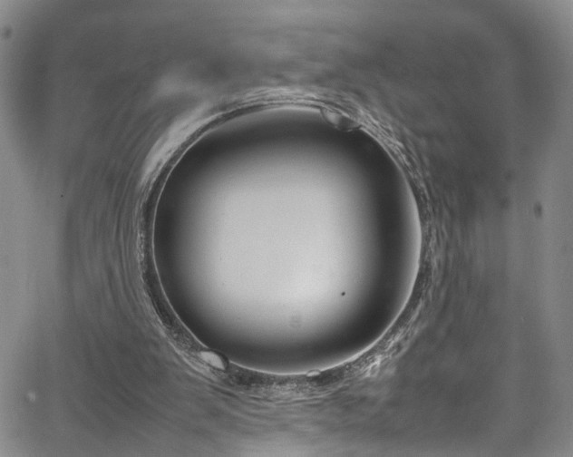 X0000064750103200602101223