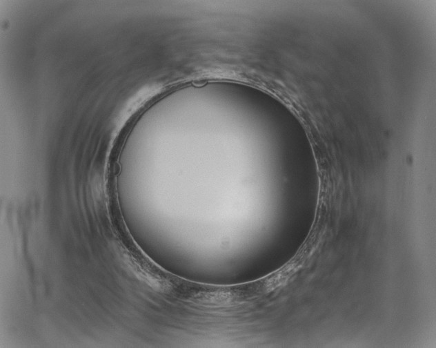 X0000064750104200602101223