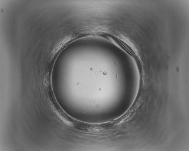 X0000064750105200602101223