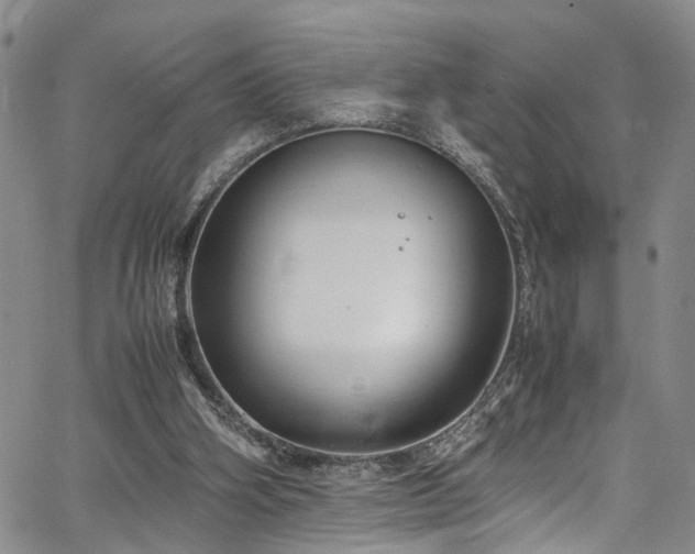 X0000064750106200602101223