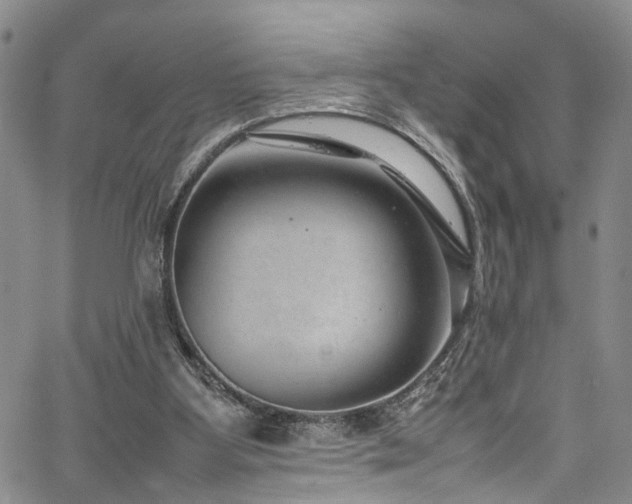 X0000064750107200602101223