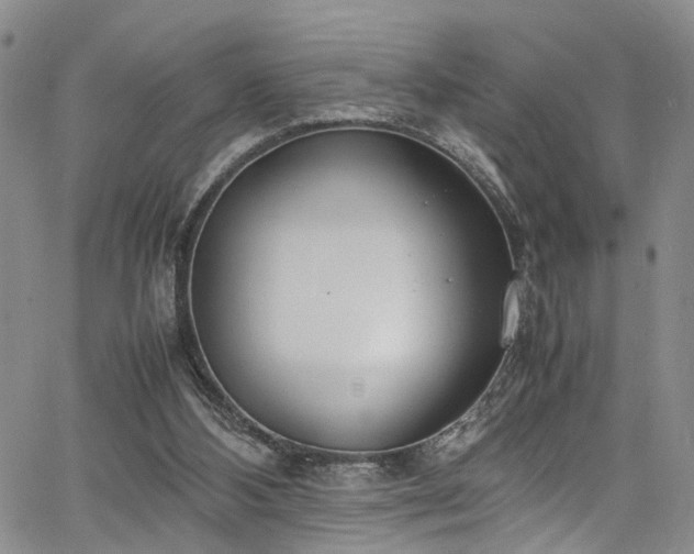 X0000064750108200602101223