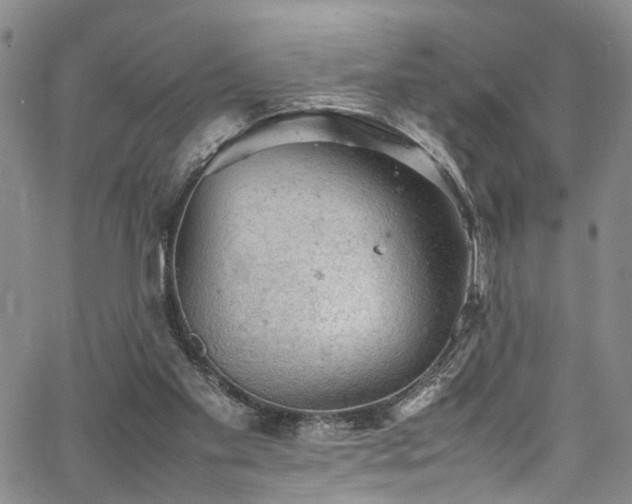 X0000064750109200602101223