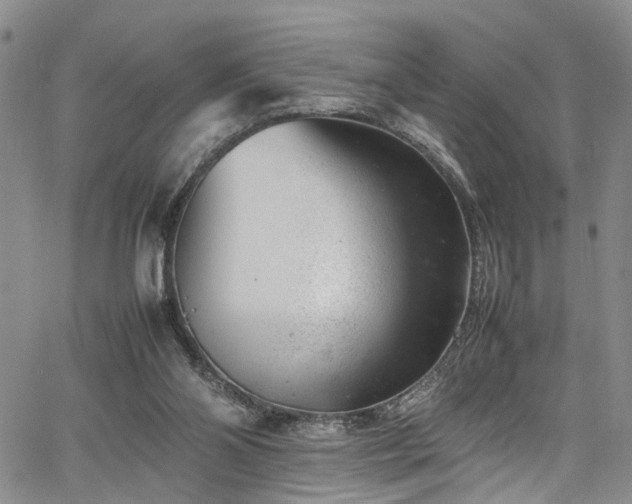 X0000064750110200602101223