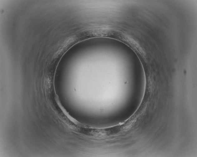 X0000064750113200602101223