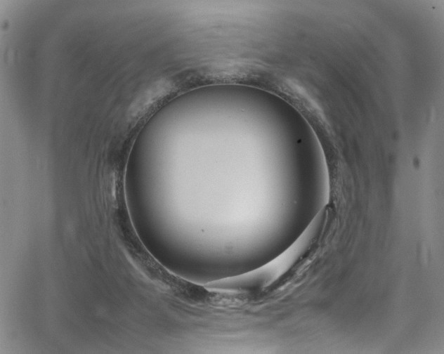 X0000064750115200602101223