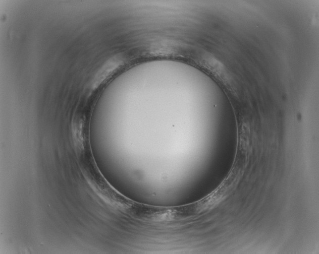 X0000064750116200602101223