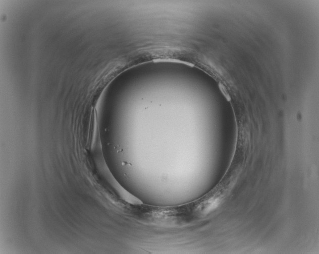 X0000064750117200602101222