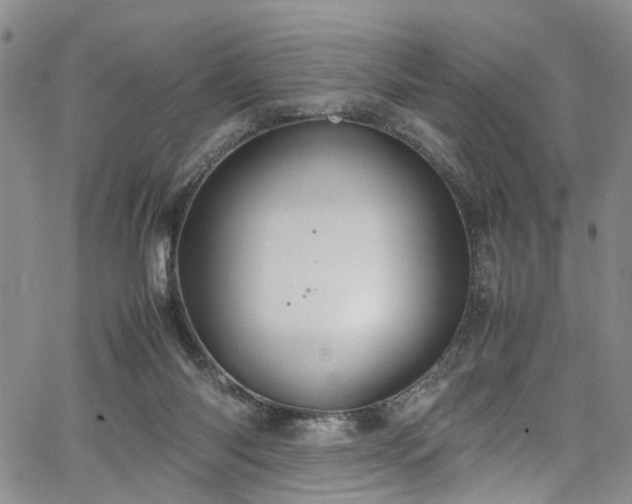 X0000064750118200602101222